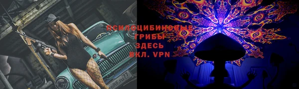 spice Михайлов