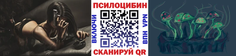 Псилоцибиновые грибы Psilocybe  где продают наркотики  Рязань 